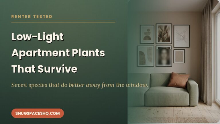 Low-Light Apartment Plants That Actually Survive: A Renter-Tested List